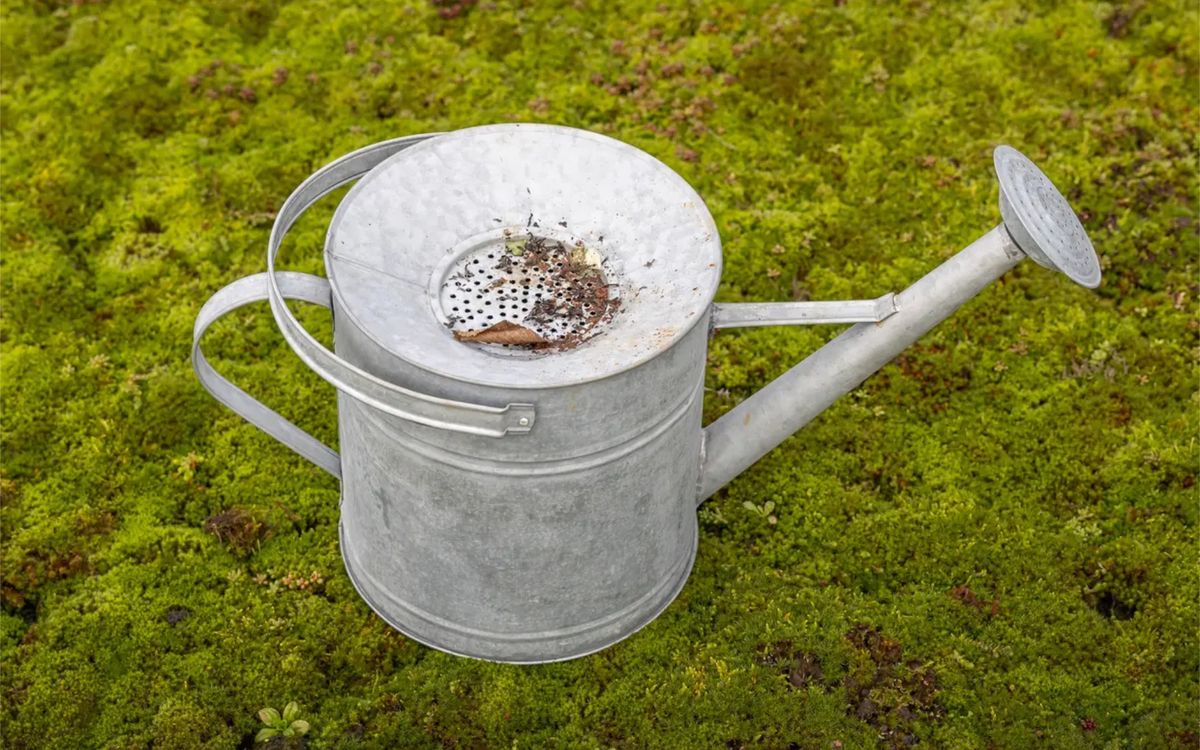 Altzink Gießkanne - Regensammler