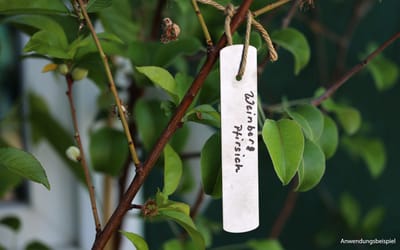 Edelstahl Hänger - 10 Stück