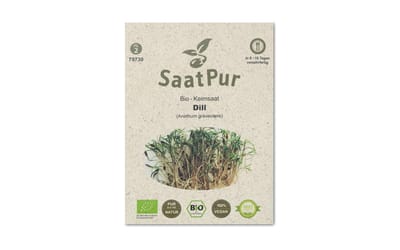 BIO-Keimsprossen Dill