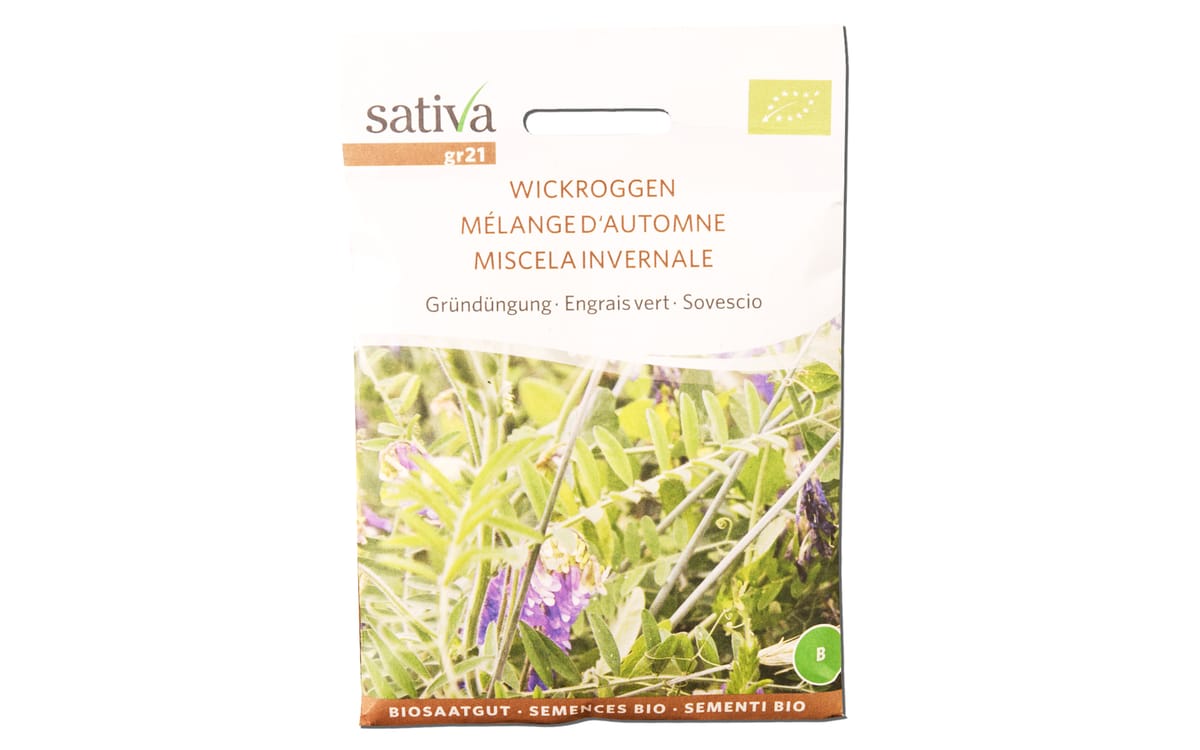 Wickroggen Grndngungsmischung - 50 g