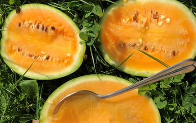 Wassermelone Solopoly