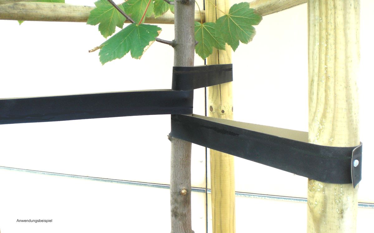 Baumgurt, Baumband 20Flex