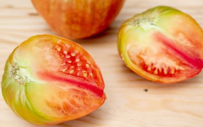 Tomate Rose de Cagnolle