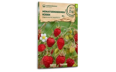 Monatserdbeeren Rügen