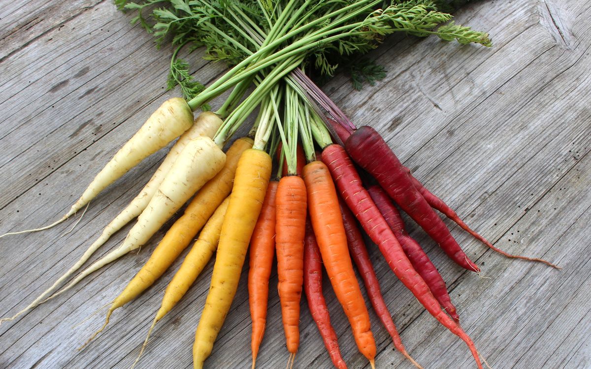 Karotten Karussell
