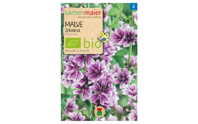 Malve Zebrina