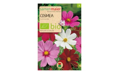 Cosmea Mischung