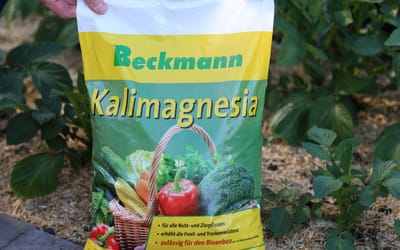 Kalimagnesia - Patentkali