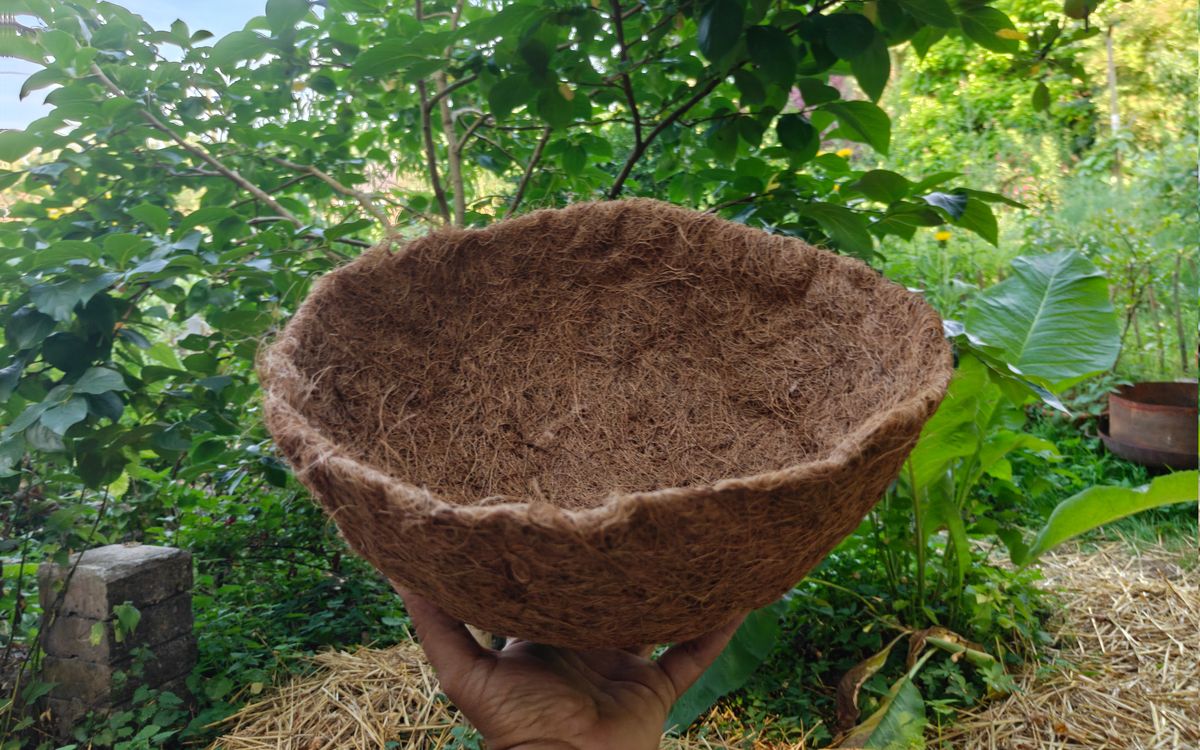 Kokoseinsatz 35cm