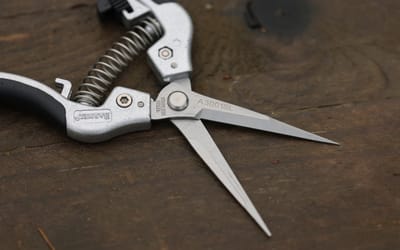 Spitzschere - 7,5 cm Klingenlänge
