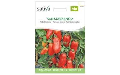 San Marzano 2
