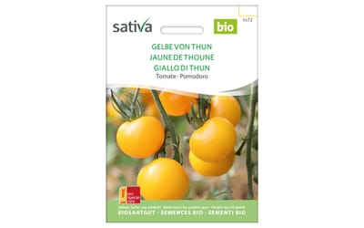 Gelbe von Thun