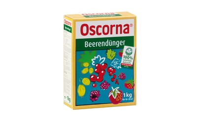 Beerendünger