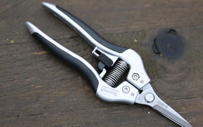 Spitzschere - 6 cm Klingenlänge