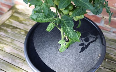 Pflanzkübel 15 Liter - 5 Kübel + 5 Abdeckscheiben