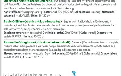 Ölrettich (nematodenreduzierung)