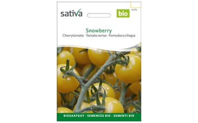 Snowberry