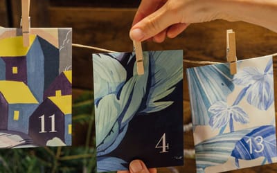 Bio-Saatgut-Adventskalender - Bunter Selbstversorgergarten