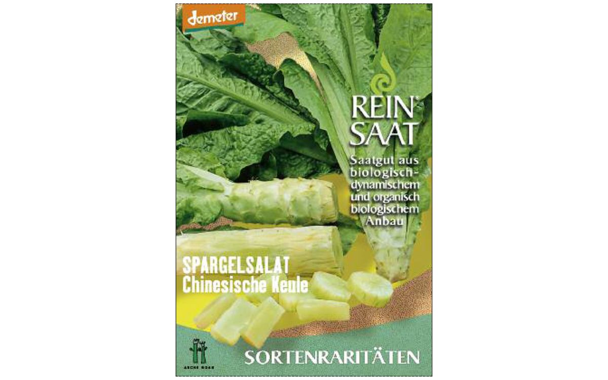 Spargelsalat