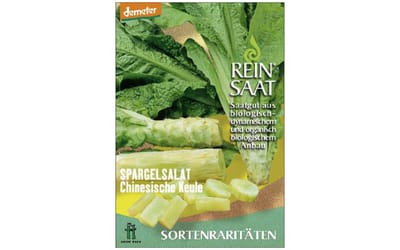 Spargelsalat