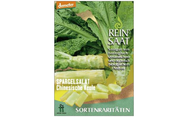 Spargelsalat Chinesische Keule