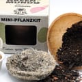 Vorschaubild 3