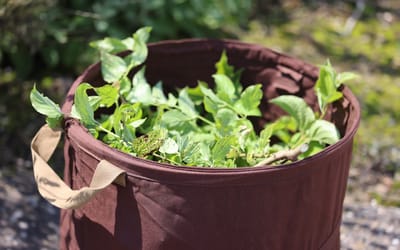 Gartenabfallsack Pop-Up