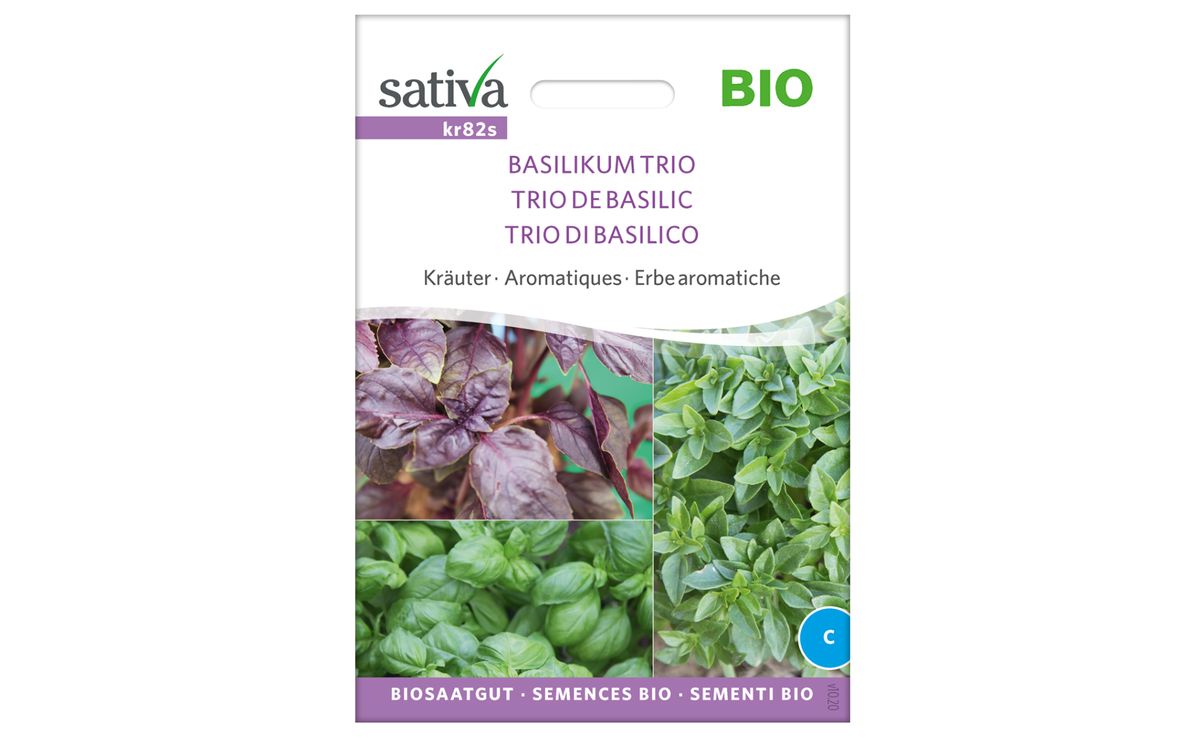 Basilikum Trio Saatscheiben
