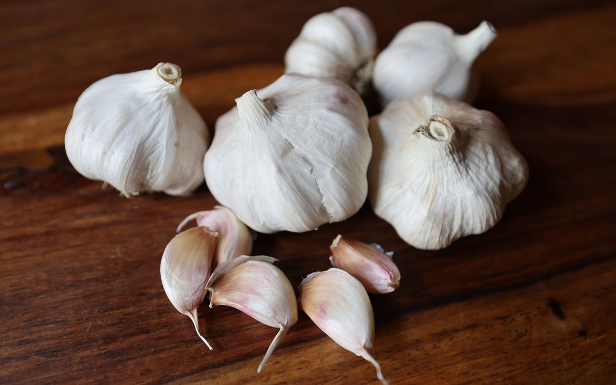Knoblauch Garpek