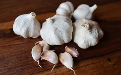Knoblauch Garpek