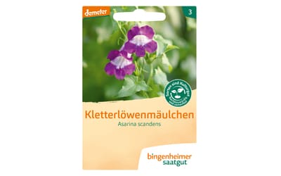 Kletterlöwenmäulchen