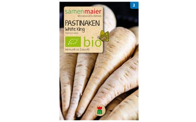 Pastinake White King