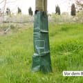 Vorschaubild 5