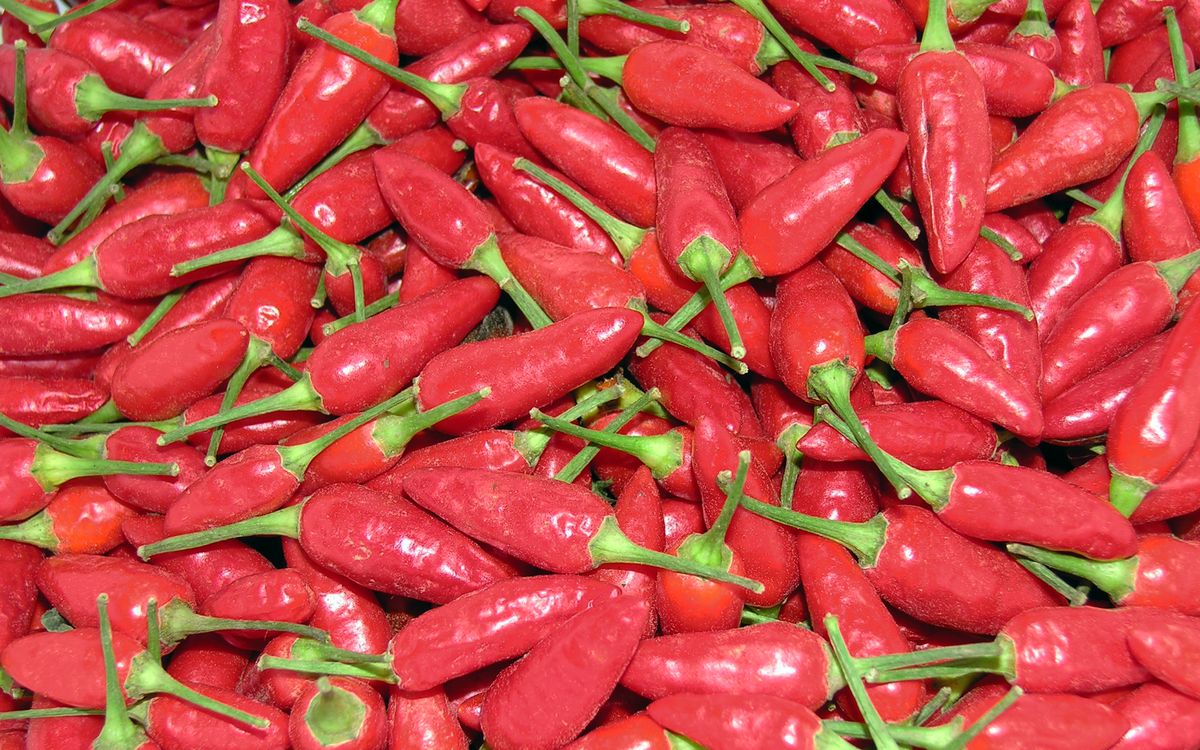 Chili Prairie Fire