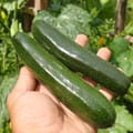 Vorschaubild 6