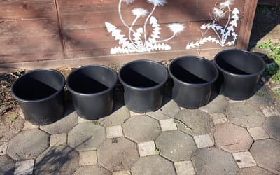 Pflanzkübel 15 Liter - 5 Kübel