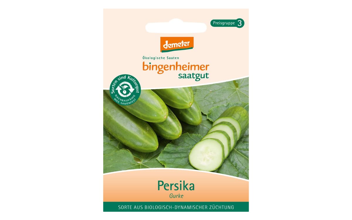 Salatgurke Persika