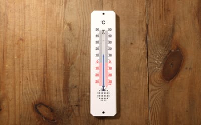 Garten-Thermometer