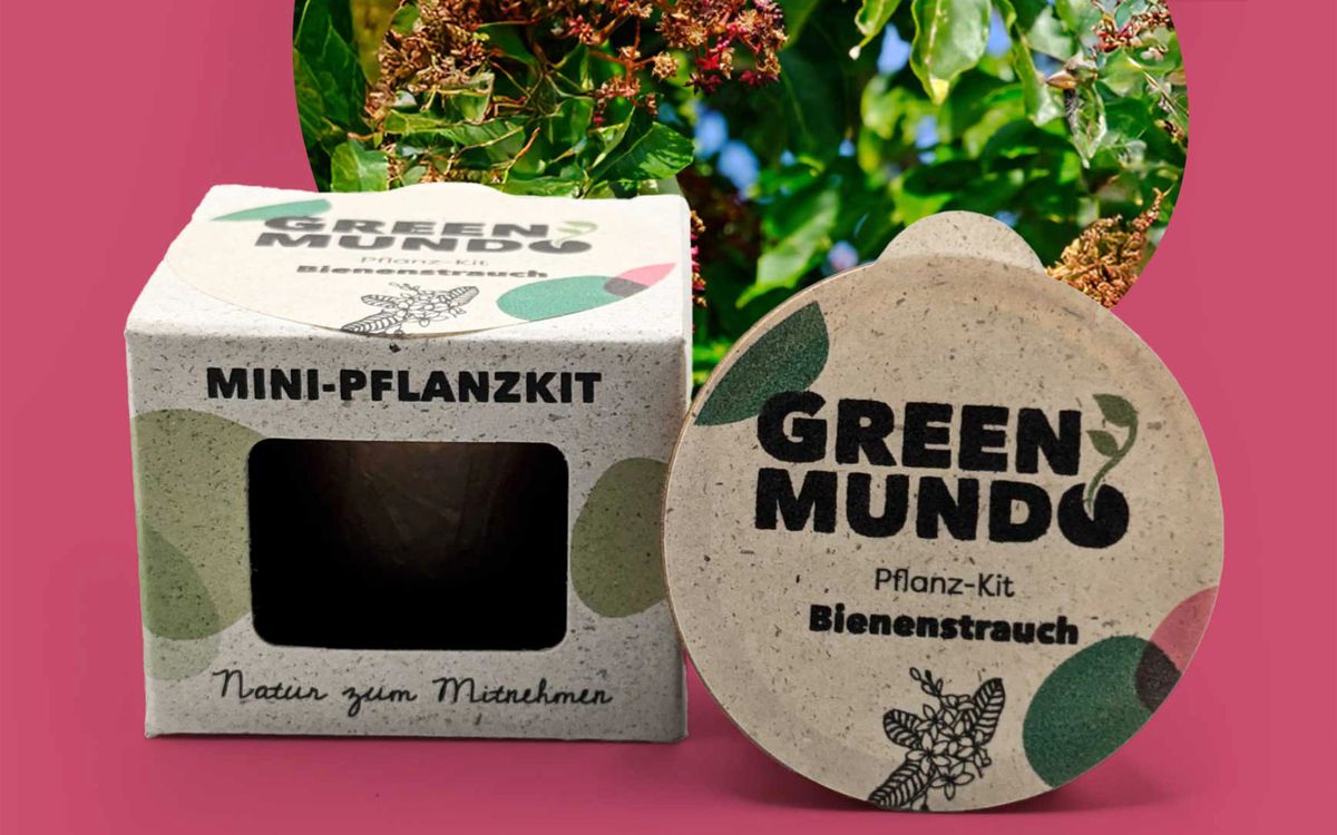 Pflanz-Kit Bienenstrauch