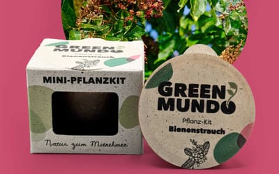 Pflanz-Kit Bienenstrauch