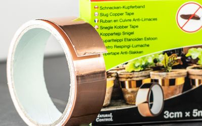 Schnecken Kupferband