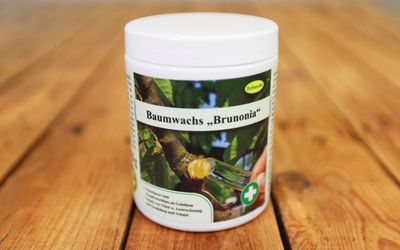 Baumwachs
