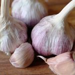 Knoblauch