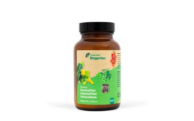 RhizoPlus GemüseVital