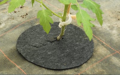 Abdeckscheibe - Ø 20 cm