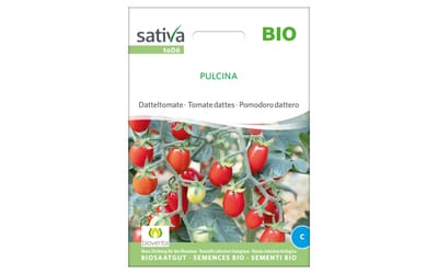 Datteltomate Pulcina