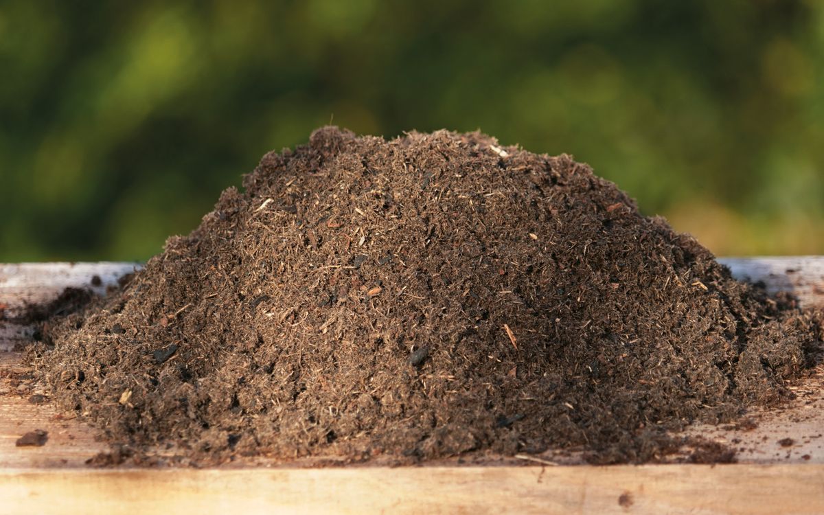 Bio Anzucht- & Kräutererde - 18 L