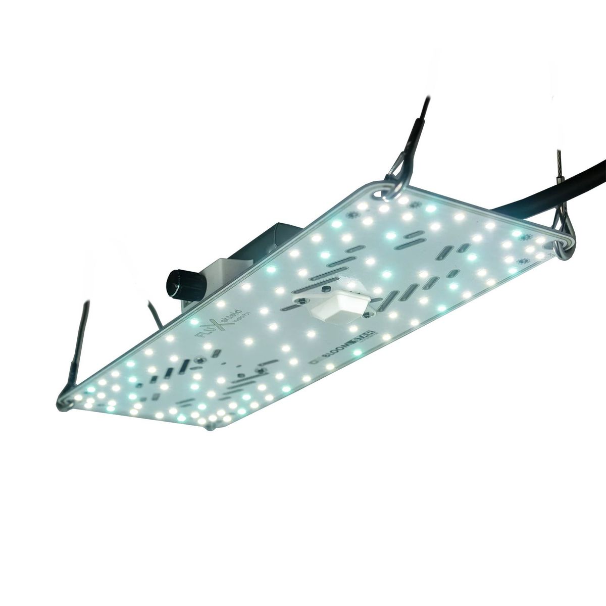 Wachstumsleuchte 50 W BloomStar