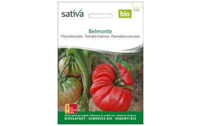 Belmonte