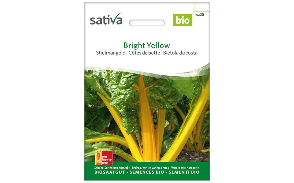 Bright Yellow